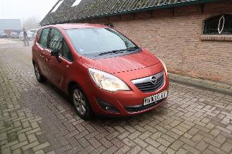 Opel Meriva 1.4 Turbo Berlin picture 2