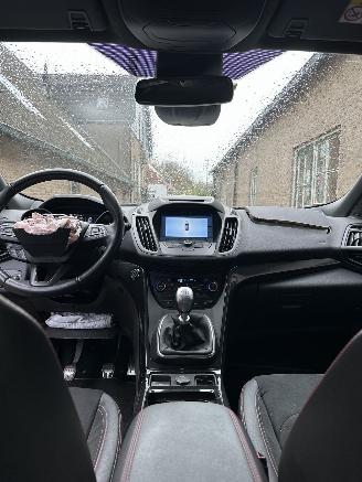 Ford Kuga 1.5 EcoBoost ST Line picture 13