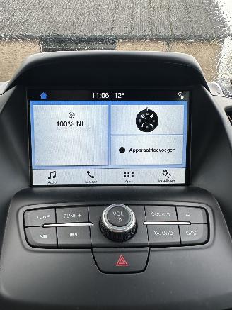 Ford Kuga 1.5 EcoBoost ST Line picture 19