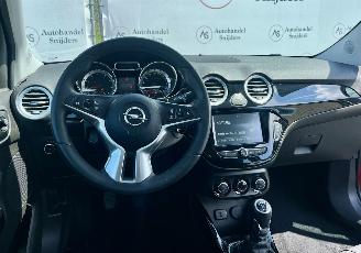 Opel Adam GLAM picture 10