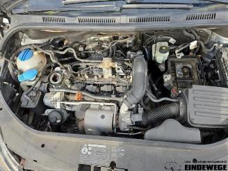 Volkswagen Golf plus Golf Plus (5M1/1KP), MPV, 2005 / 2013 1.4 TSI 122 16V picture 5