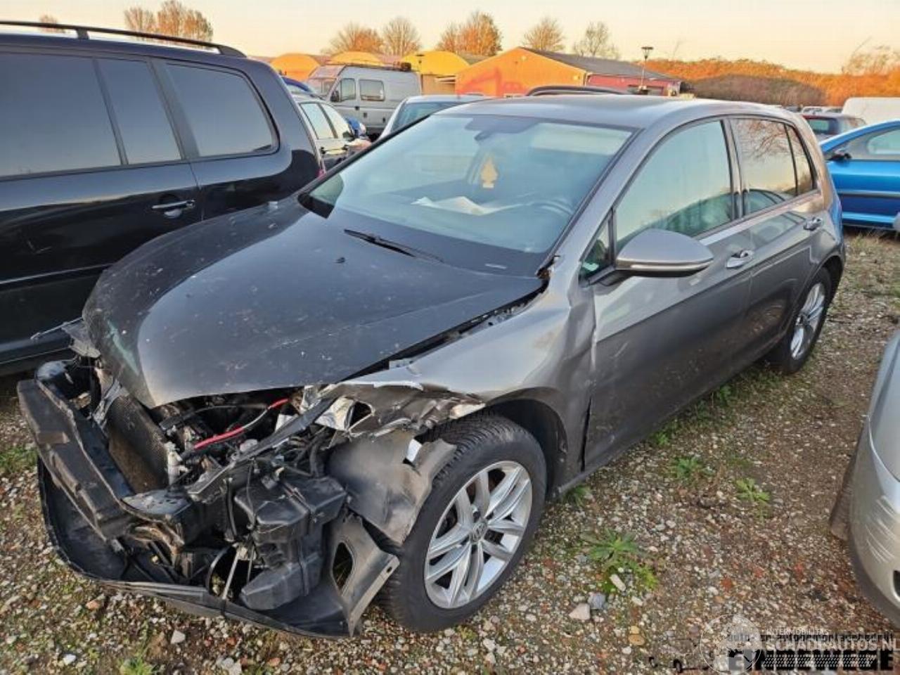 Volkswagen Golf Golf VII (AUA), Hatchback, 2012 / 2021 1.2 TSI 16V