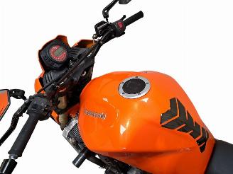 Kawasaki Z 1000  picture 14