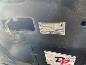 Fiat Punto Punto Evo (199), Hatchback, 2009 / 2012 1.2 Euro 4 picture 16