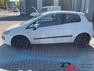 Fiat Punto Punto Evo (199), Hatchback, 2009 / 2012 1.3 JTD Multijet 85 16V Euro 5 picture 2