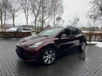 uszkodzony samochody osobowe Tesla Model Y Tesla Model Y Long Range Dual AWD Panoramadak Camera Autopilot VOL 2024/3