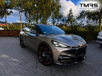 Avarii autoturisme Cupra Tavascan Tavascan 210 kW Endurance PANORAMA Camera HUD VOL VOL !! 2026/1