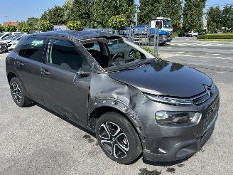 Citroën C4 cactus  picture 2
