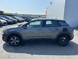 Citroën C4 cactus  picture 23