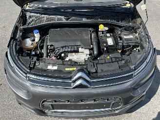 Citroën C4 cactus  picture 19