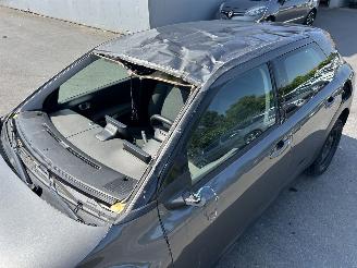 Citroën C4 cactus  picture 24