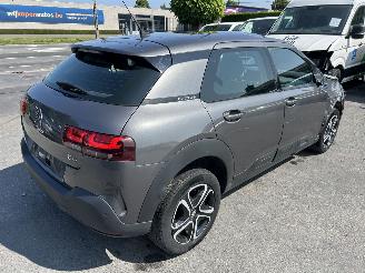 Citroën C4 cactus  picture 5
