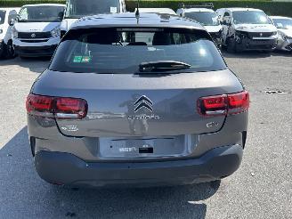 Citroën C4 cactus  picture 21