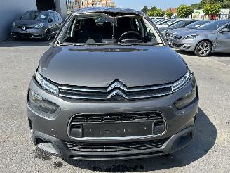 Citroën C4 cactus  picture 20