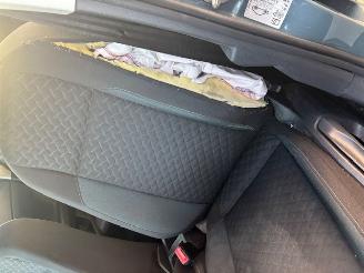 Volkswagen Polo IQ DRIVE picture 10