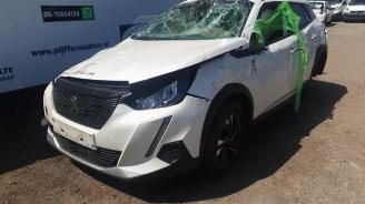 Peugeot 2008 2008 (UD/UK/UR/US/UX), MPV, 2019 1.2 VTi 12V PureTech 130 picture 4