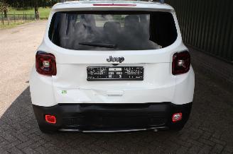 Jeep Renegade  picture 8