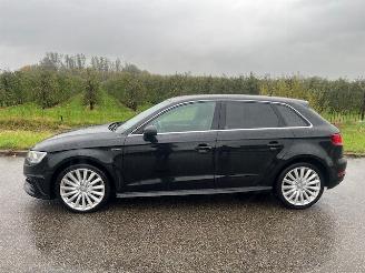 Audi A3 E-tron met Pano dak camera hybride picture 2