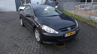 škoda osobní automobily Peugeot 307 cabrio cc 2.0 lichte schade 179000 km 2004/1