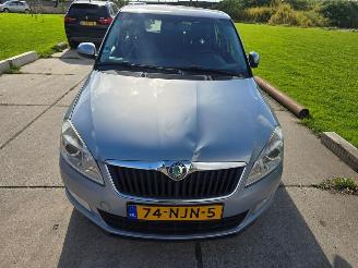 Auto incidentate Skoda Fabia  2010/9