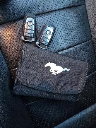 Ford USA Mustang  picture 22