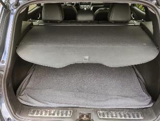 Renault Kadjar 1.3 TCe Intens picture 25