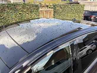 Volkswagen Polo 2.0 TSI GTI  AUTOMAAT PANORAMA picture 11