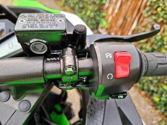 Kawasaki  Ninja 300 Anniversary Edition picture 22