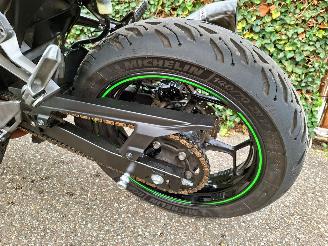 Kawasaki  Ninja 300 Anniversary Edition picture 17