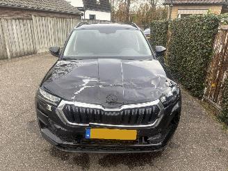 Skoda Karoq 1.0 TSI Business Edition 110PK picture 10