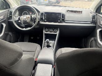 Skoda Karoq 1.0 TSI Business Edition 110PK picture 13