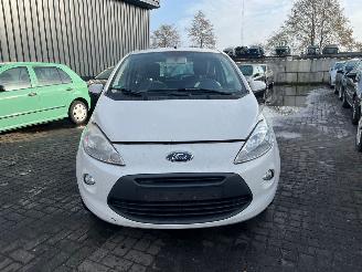 skadebil auto Ford Ka 1.2 Hatchback  Benzine 1.242cc 51kW (69pk) FWD 2008-10/2016-05 (RU8) 169A4000; EURO4 2009/11