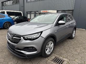škoda osobní automobily Opel Grandland X 2019/5
