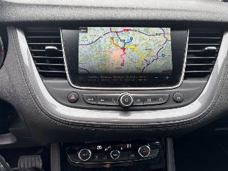 Opel Grandland X picture 18