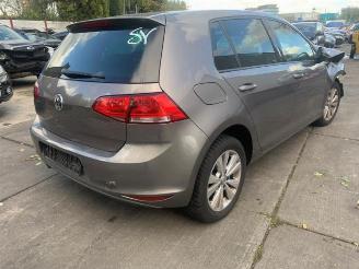 Volkswagen Golf Golf VII (AUA), Hatchback, 2012 / 2021 1.6 TDI 16V picture 2