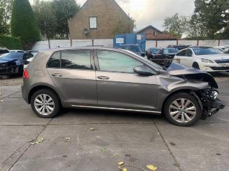 Volkswagen Golf Golf VII (AUA), Hatchback, 2012 / 2021 1.6 TDI 16V picture 5