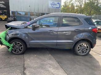 Ford EcoSport EcoSport (JK8), SUV, 2013 1.0 EcoBoost 12V 125 picture 9