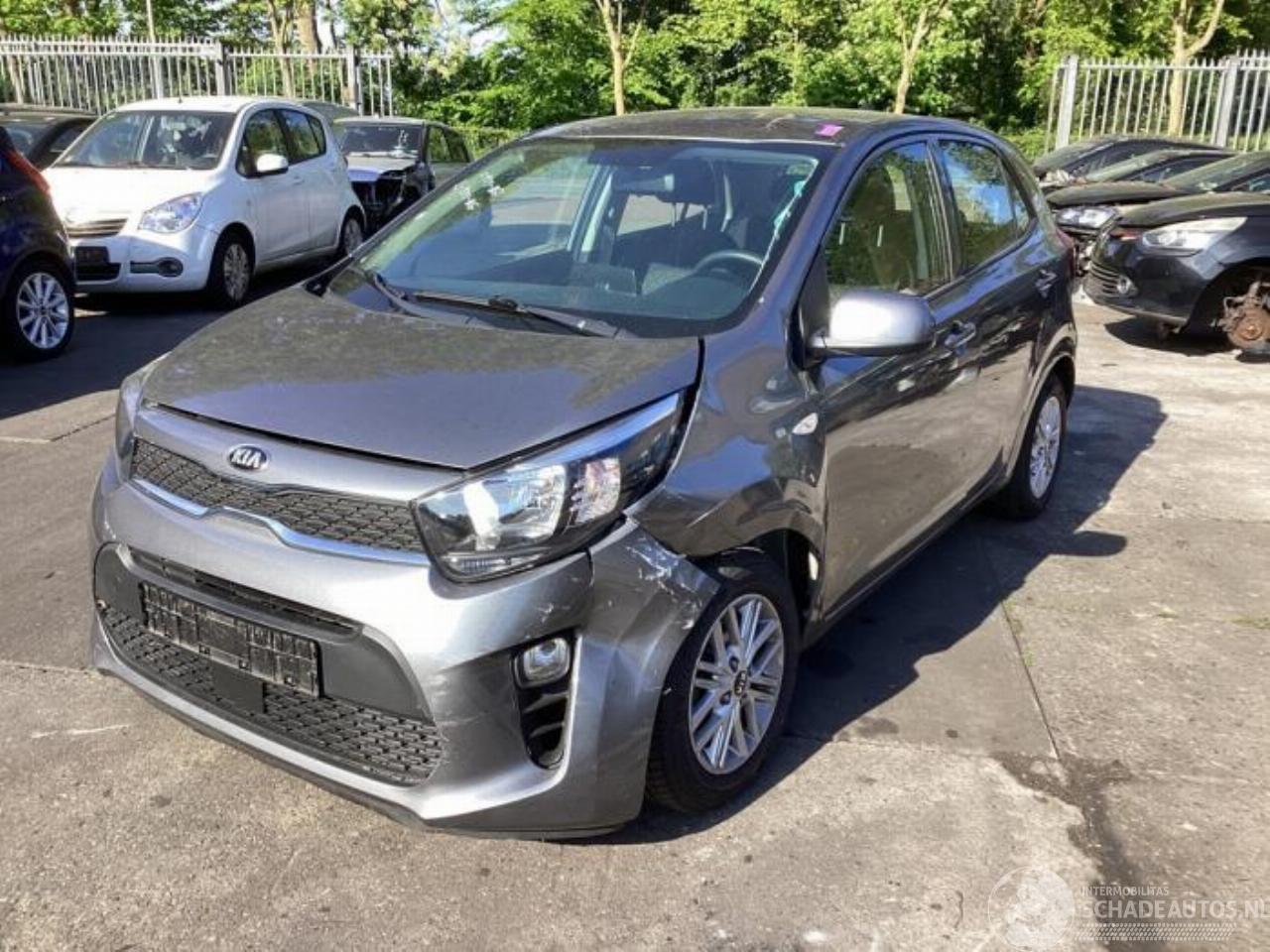 Kia Picanto Picanto (JA), Hatchback, 2017 1.0 DPi 12V