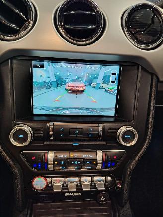 Ford Mustang  picture 12