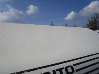 Avento  royal 420 excl picture 3