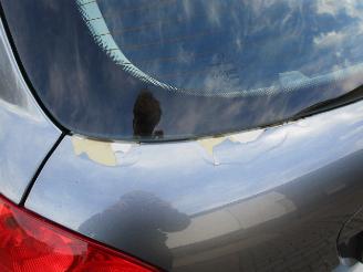 Peugeot 207 1.6 VTI picture 5