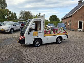 Alle  cenntro centro  electrice picture 2