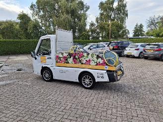 krockskadad bil overig Alle  cenntro centro  electrice 2020/6