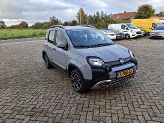 Fiat Panda 1.0 hybrid  cross   52kw picture 6