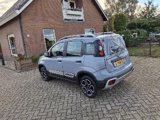 Fiat Panda 1.0 hybrid  cross   52kw picture 12