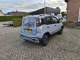 Fiat Panda 1.0 hybrid  cross   52kw picture 7