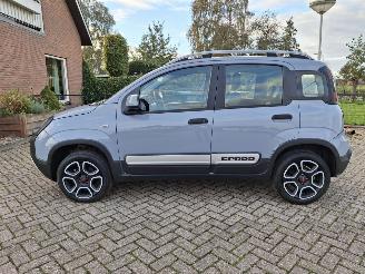  Fiat Panda 1.0 hybrid  cross   52kw 2021/5