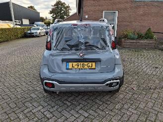Fiat Panda 1.0 hybrid  cross   52kw picture 8