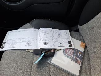 Fiat Panda 1.0 hybrid  cross   52kw picture 4