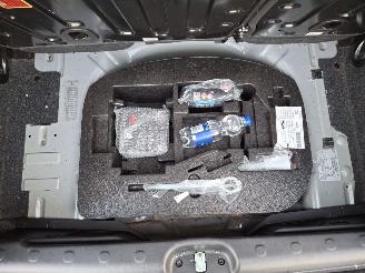 Fiat Panda 1.0 hybrid  cross   52kw picture 13